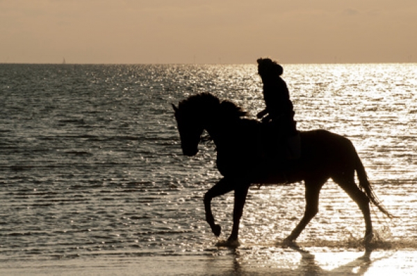 Reiten und mehr auf der Insel Rügen